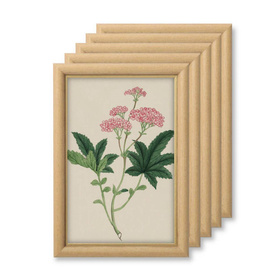 Pakiet ramek drewnianych 5 szt. DRWB F 1 PAK 13x18 cm