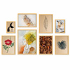 Zestaw naturalnych ramek na 8 zdjęć HIT 0 GF0009