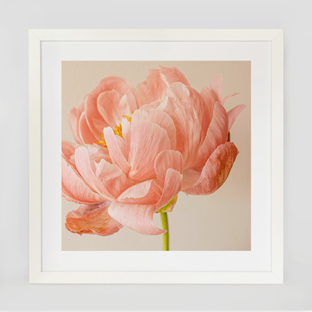 Ramka biała HEN 1 40x40 cm