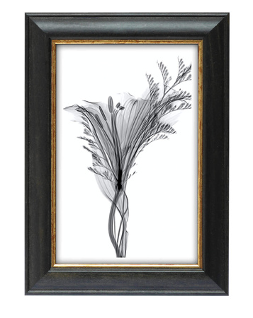 Ramka drewniana DRI S 2 50x60 cm