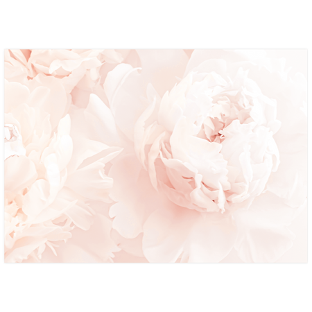 Komplet obrazów Nature w ramie