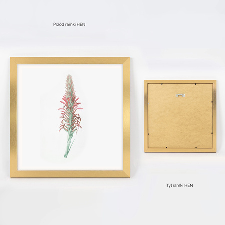 Ramka złota HEN Z 30x30 cm
