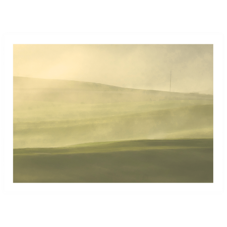 Zestaw plakatów Forest Morning + zestaw ramek z litego drewna w kolorze czarnym