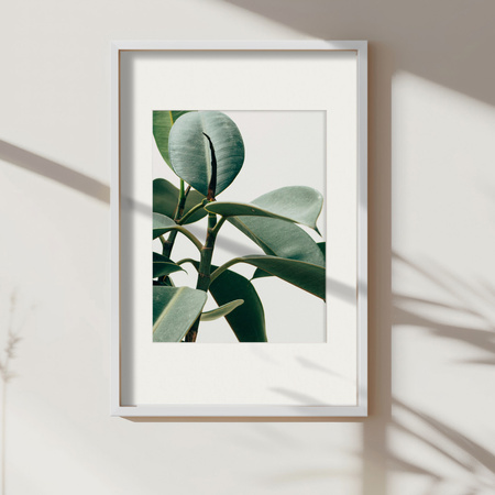 Ramka biała HEN PASS 1 z passe-partout – rozmiar 40X60 cm (okienko 30x40 cm)