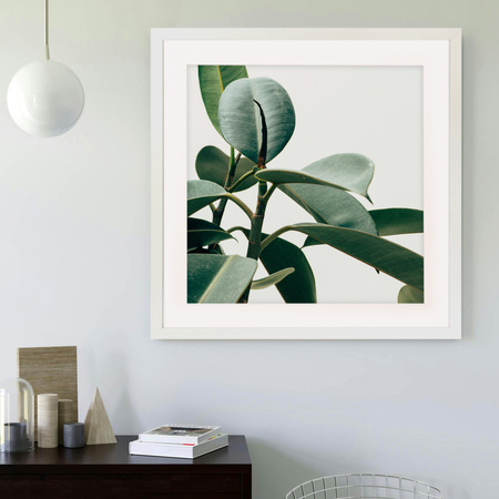 Ramka biała HEN PASS 1 z passe-partout – rozmiar 50X50 cm (okienko 40x40 cm)