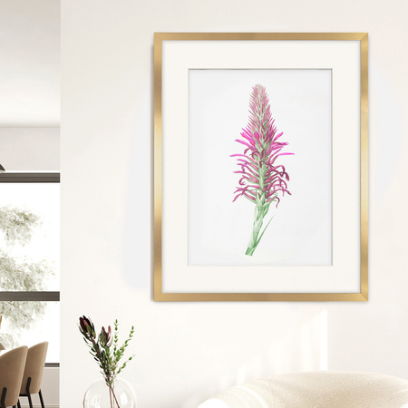 Ramka złota HEN PASS Z z passe-partout – rozmiar 40x50 cm (okienko 30x40 cm)