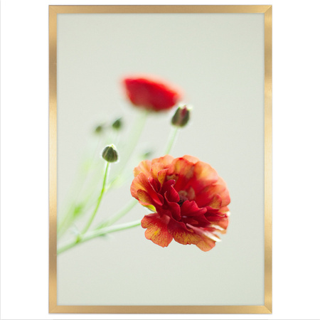 Ramka złota HEN Z 70x100 cm