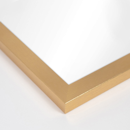 Lustro 50x70 cm w złotej ramce HEN Z