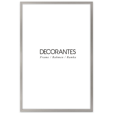 Ramka Srebrna LUX S 40x60 cm