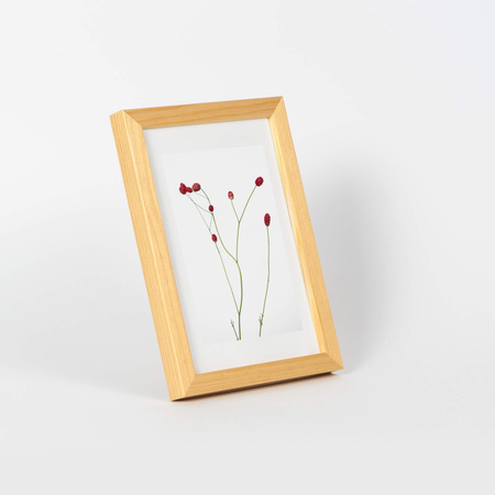 Pakiet ramek drewnianych 5 szt. PINIA 0 10x15 cm