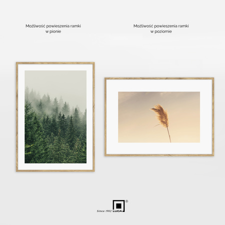 Pakiet ramek 3 szt. FDM 02 kolor dębowy 50x70 cm