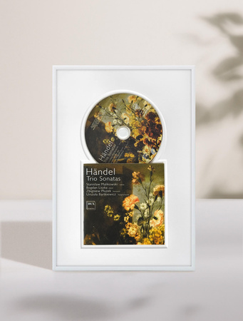 Ramka na płytę CD w kolorze białym. Ramka aluminiowa o rozmiarze 21x30 cm