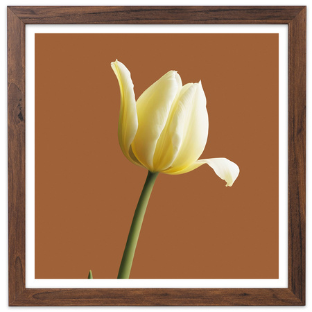 Ramka brązowa HEN 4 30x30 cm