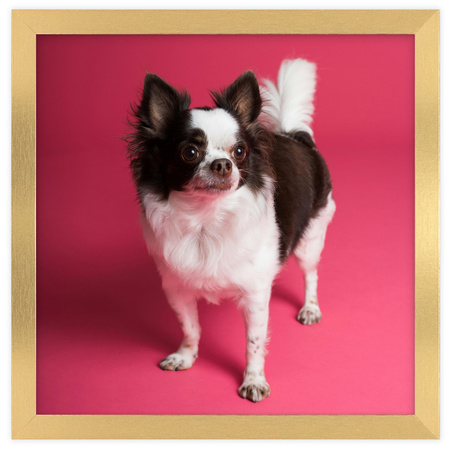 Ramka złota HEN Z 30x30 cm