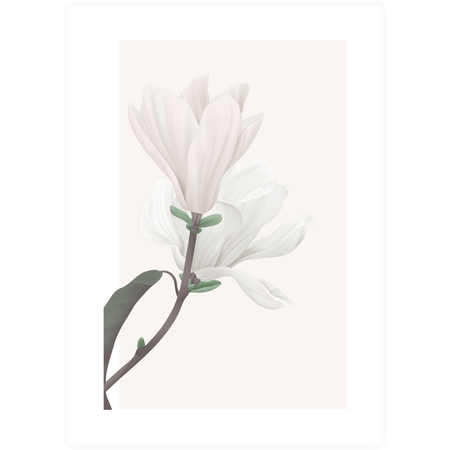 Zestaw plakatów Rose Quartz + zestaw ramek z litego drewna w kolorze białym