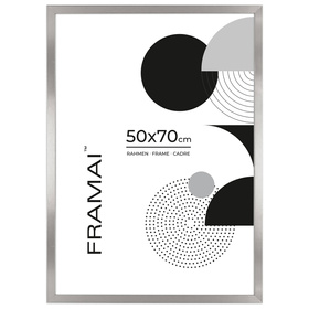Ramka srebrna HEN S 50x70 cm