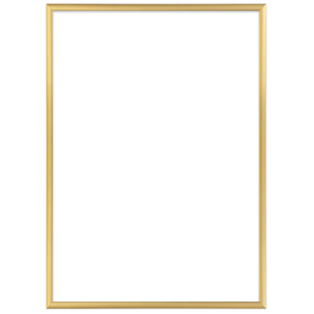 Ramka aluminiowa złota ROYALL 29,7X42 cm
