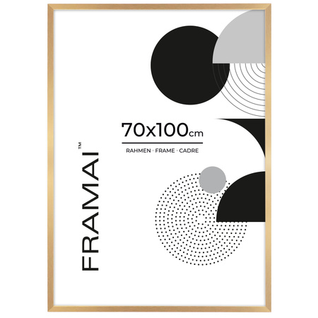 Pakiet 2 szt. złotych ramek HEN Z 70x100 cm