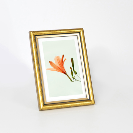 Ramka drewniana DRI CL Z 10X15 cm