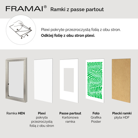 Ramka srebrna HEN PASS S z passe-partout – rozmiar 50x50 cm (okienko 40x40 cm)