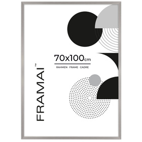 Ramka srebrna HEN S 70x100 cm
