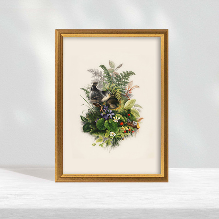 Pakiet ramek drewnianych 5 szt. DRWA F Z PAK 13x18 cm