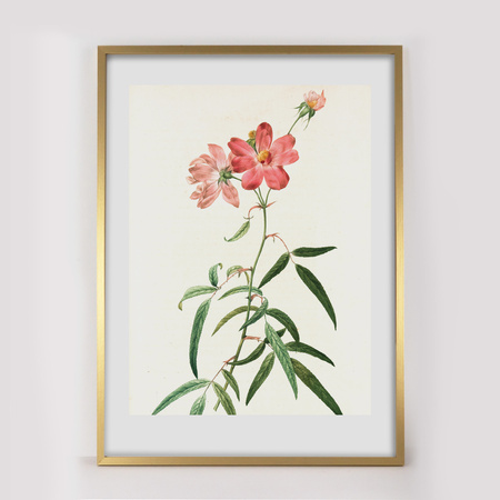 Ramka Złota LUX Z 50x70 cm