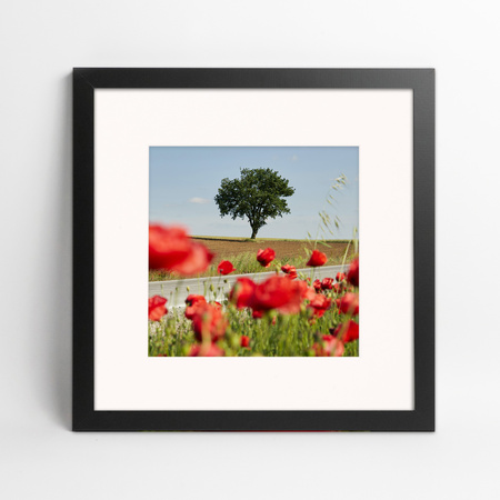 Ramka czarna HEN PASS 2 z passe-partout – rozmiar 30x30 cm (okienko 20x20 cm)