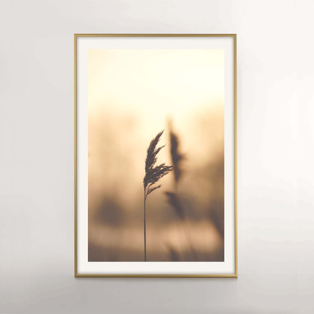 Ramka aluminiowa złota ROYALL 62x93 cm