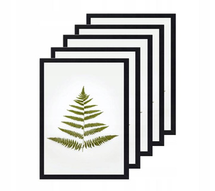 Zestaw 5 ramek w kolorze czarnym 40x50 cm