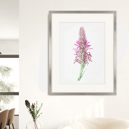 Ramka srebrna HEN PASS S z passe-partout – rozmiar 40x50 cm (okienko 30x40 cm)