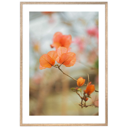 Ramka naturalna HEN 0 70x100 cm