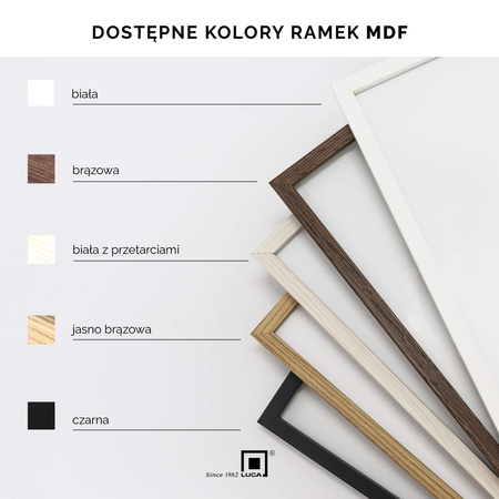 Pakiet ramek 5 szt. FDM 02 kolor dębowy 21x30 cm