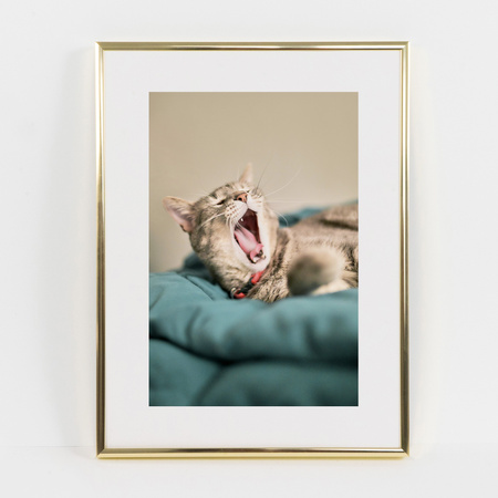 Ramka aluminiowa złota błyszcząca QALB 30x40 cm