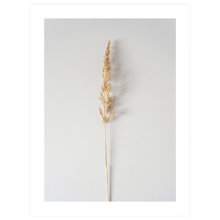 Zestaw plakatów Golden Love w naturalnych ramkach z litego drewna