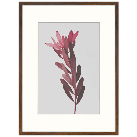 Ramka brązowa HEN PASS 4 z passe-partout – rozmiar 60x80 cm (okienko 40x60 cm)