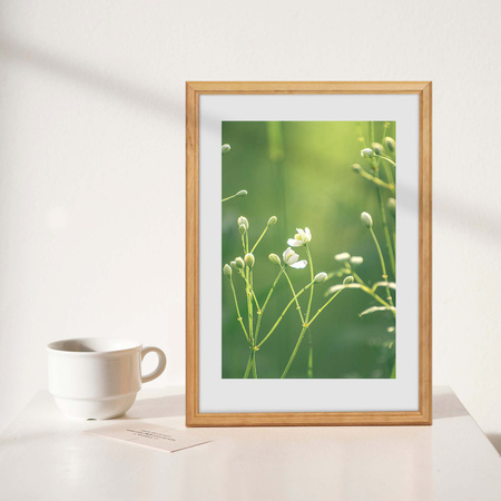 Pakiet ramek drewnianych 5 szt. DRWA 0 PAK 21x30 cm