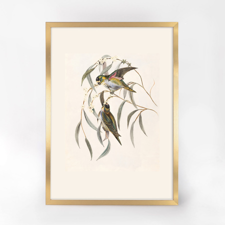 Pakiet 2 szt. złotych ramek HEN Z 50x70 cm