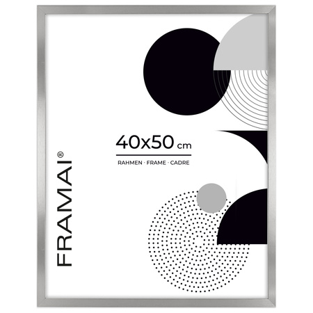 Ramka srebrna HEN S 40x50 cm
