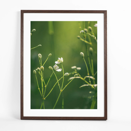 Ramka brązowa FDM 6 40x50 cm