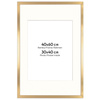 Ramka złota HEN PASS Z z passe-partout – rozmiar 40x60 cm (okienko 30x40 cm)