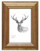 Ramka drewniana DRL N 33 50x60cm