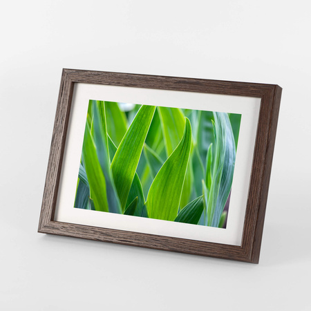 Ramka brązowa FDM 6 15x21 cm