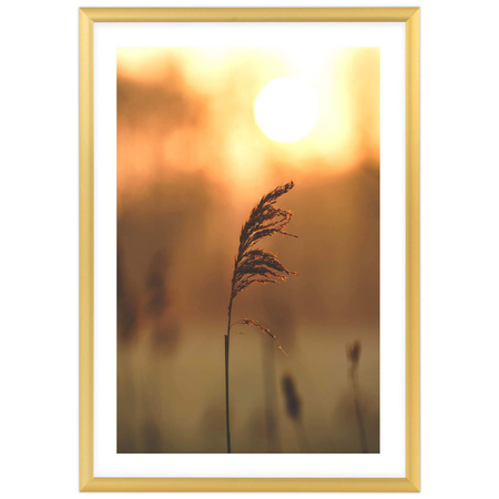 Pakiet złotych ramek aluminowych 5 szt. QAL 15x21 cm