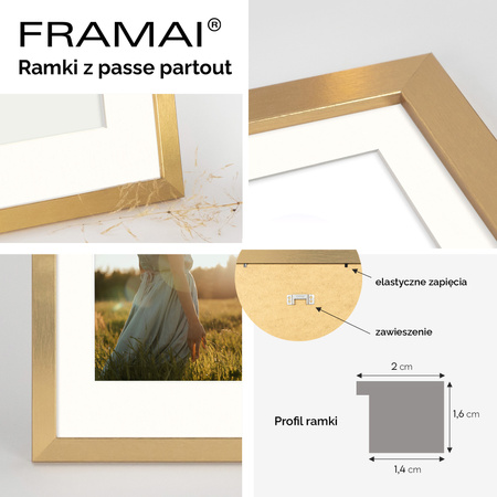 Ramka złota HEN PASS Z z passe-partout – rozmiar 50x50 cm (okienko 40x40 cm)