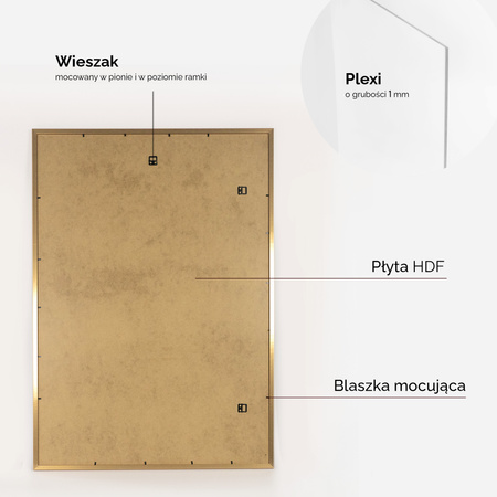 Ramka złota HEN PASS Z z passe-partout – rozmiar 70x100 cm (okienko 50x70 cm)