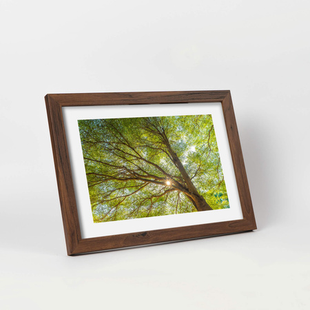 Pakiet 5 szt. ramek brązowych HEN 4 21x29,7 cm