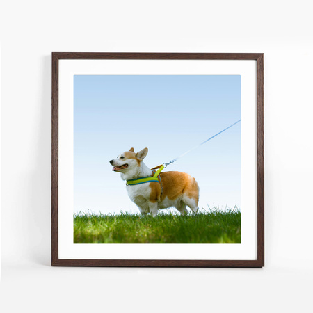 Ramka na zdjęcia 50x50 cm w brązowym kolorze FDM 6 kwadratowa