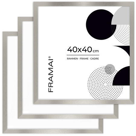 Ramka srebrna HEN S 40x40 cm