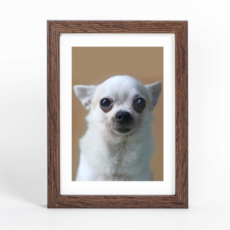 Ramka brązowa FDM 6 13x18 cm